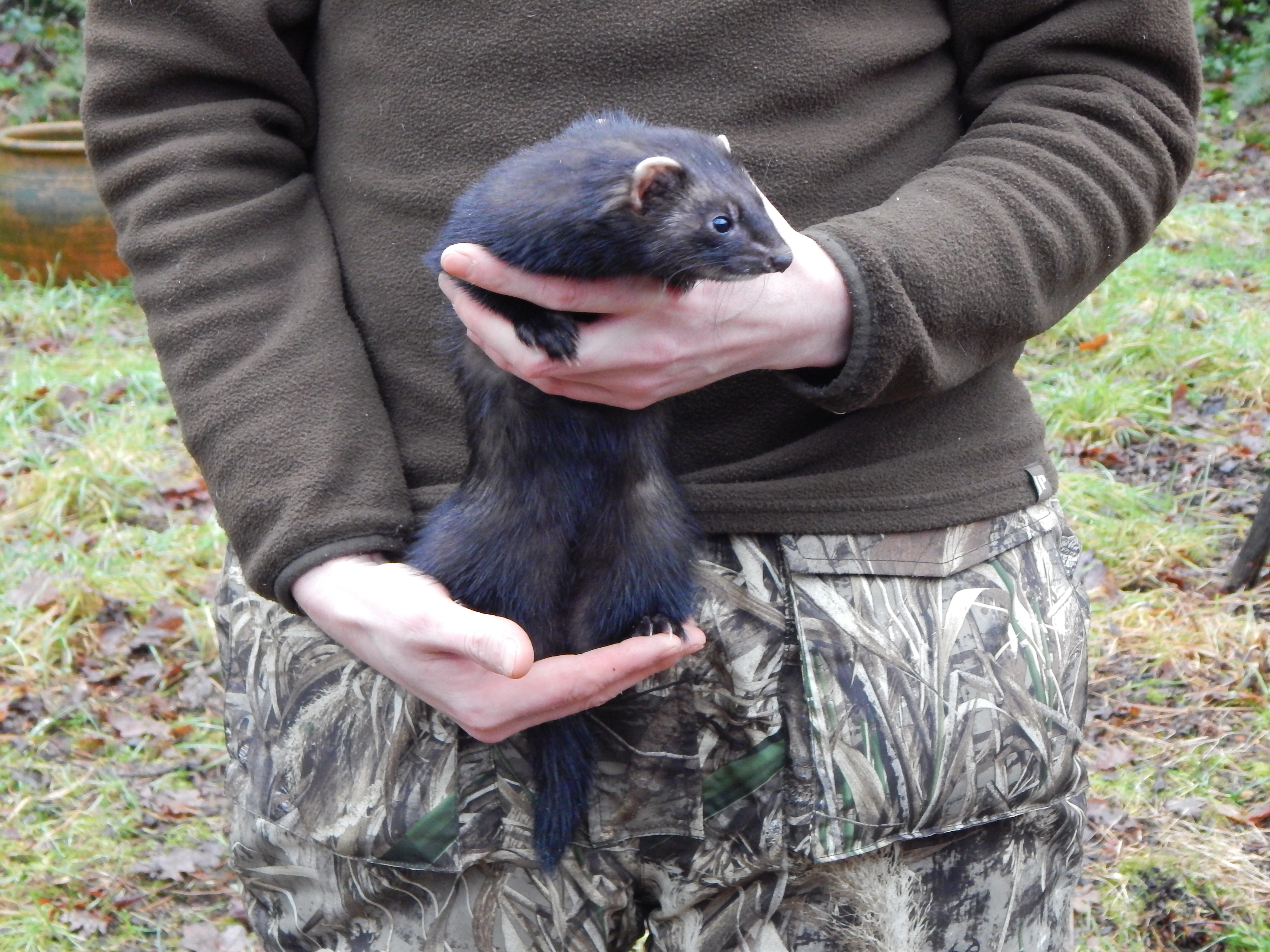 Welcome to the new website!